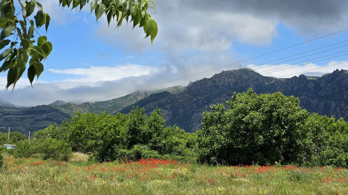 Rain across the country, heaviest in Central Balkans and Southwestern Bulgaria