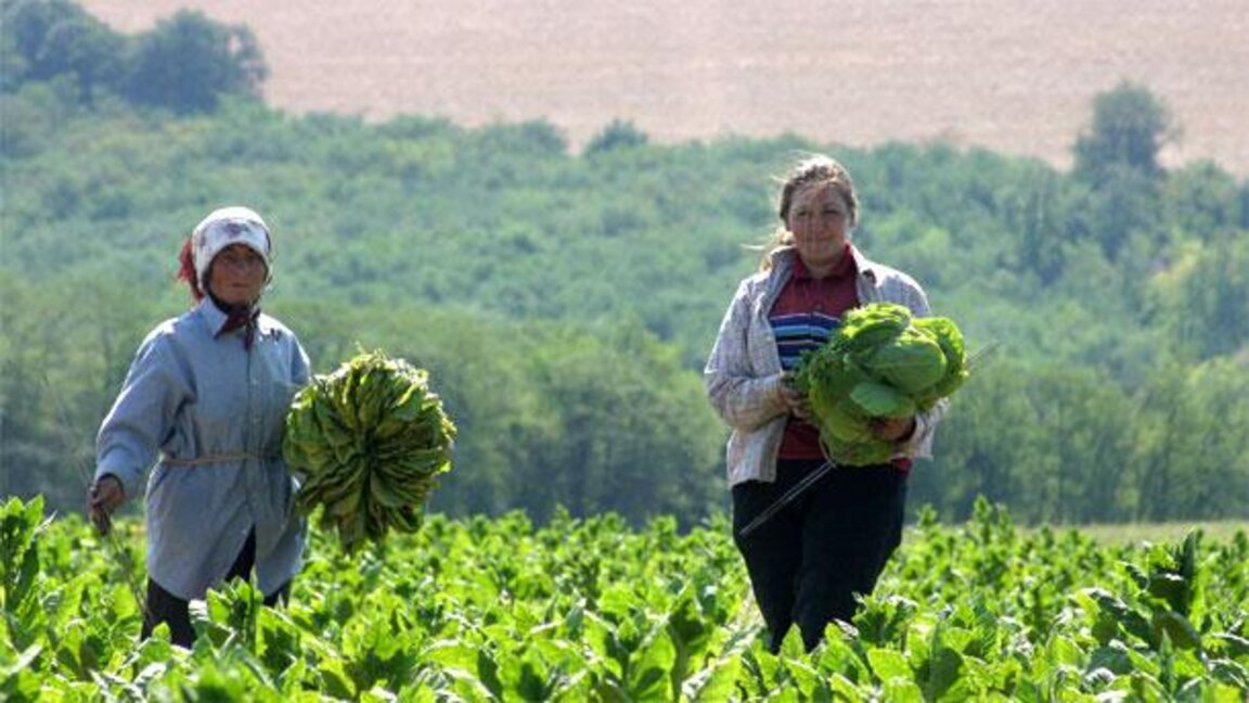 Започва охраняването на селскостопанската продукция в Сливенско