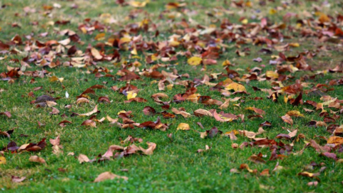 Wetteraussichten für Mittwoch, den 3. Dezember
