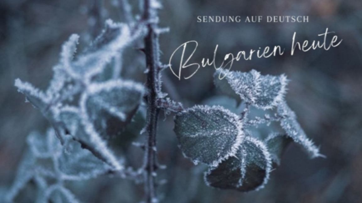 Bulgarien heute –9. Dezember 2025