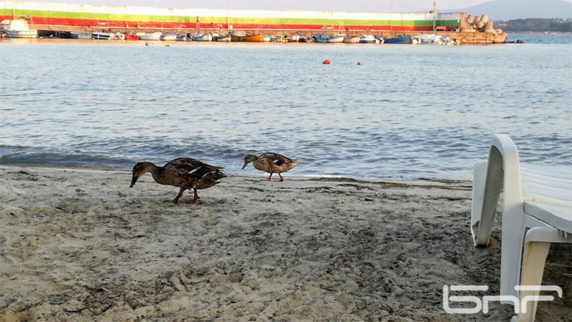Sunshine, scattered clouds along the Black Sea coast expected on Thursday