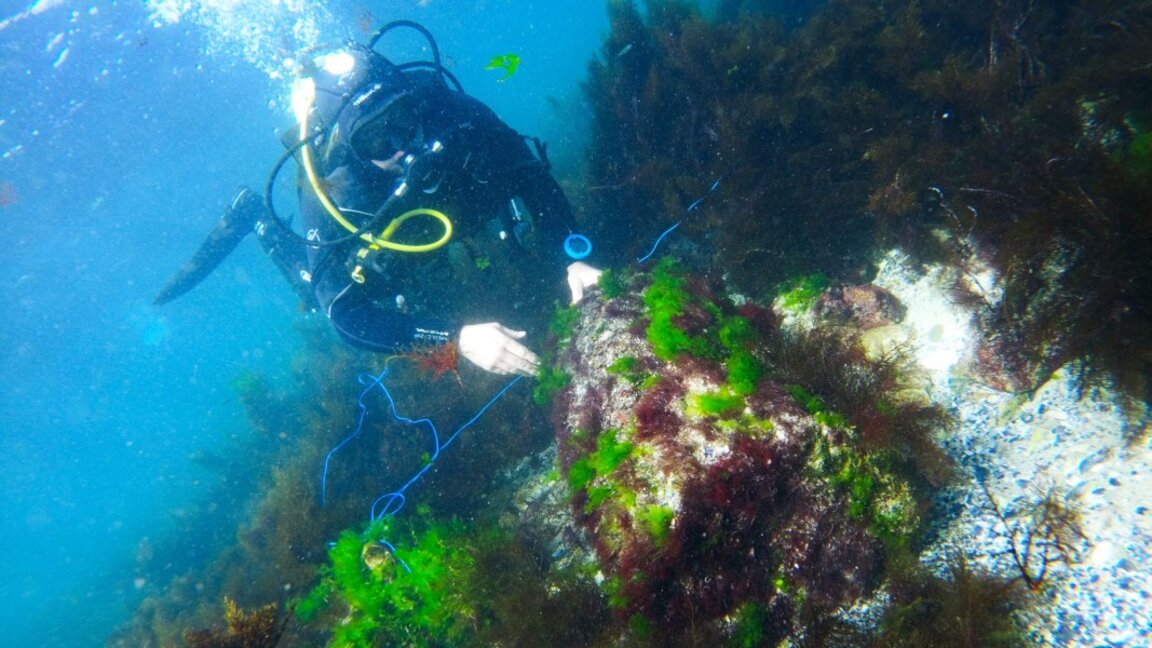 Foto: Qendra për Arkeologji Nënujore në Sozopoll