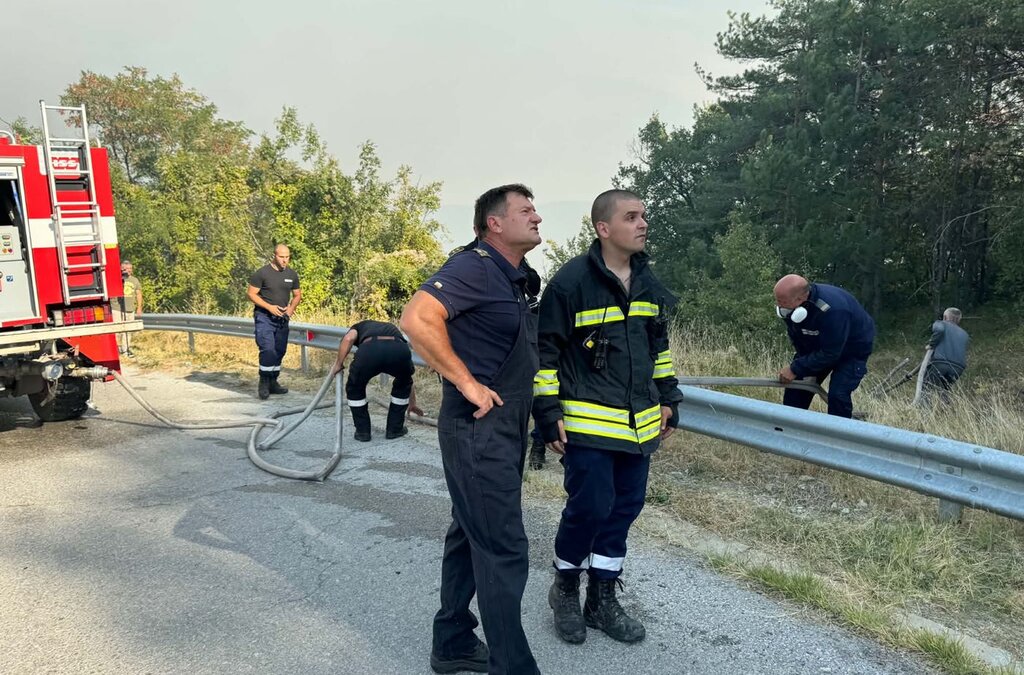12 екипа на пожарната и горски служители се борят с пламъците край Зорница