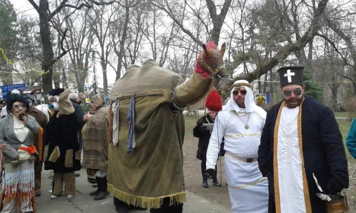 Габровнишката камила Василка участва в маскарадните игри "Сурва" в Перник