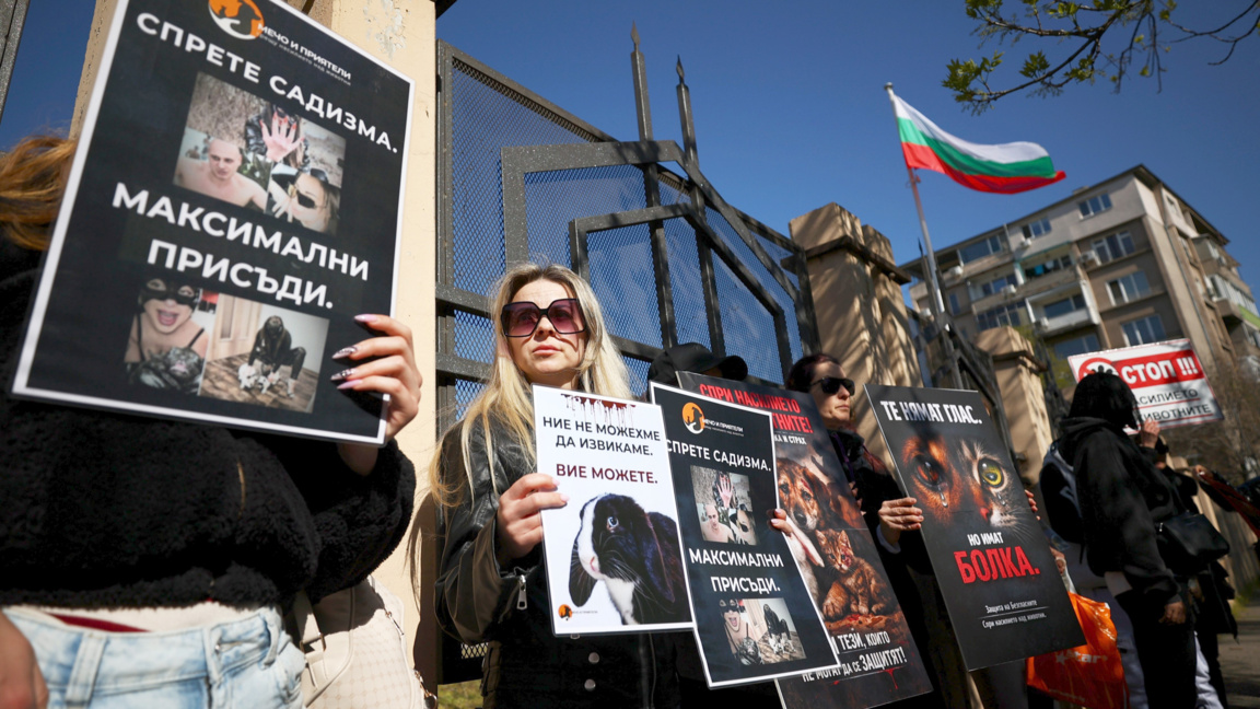 Citizens protest, demand effective sentences for animal abusers