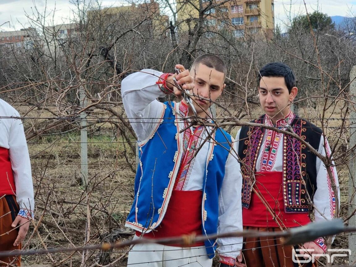 Седмица на лозаря в Кюстендил