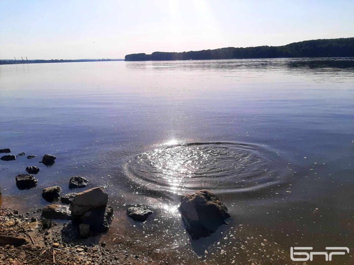 Масово преплуване на Дунав