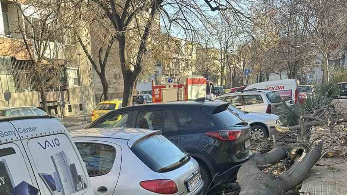До 100 км./час стигат поривите на вятъра в Пловдив