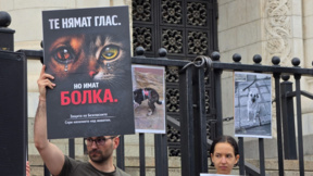 Ще се ангажира ли правителството със стратегия за животните?