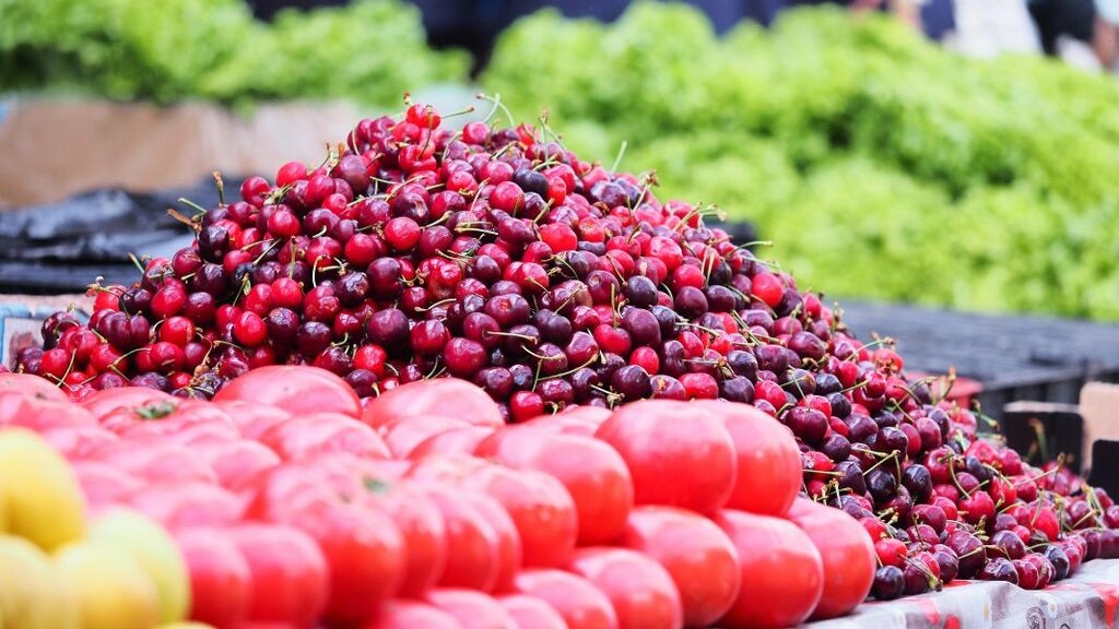 Burokracia dhe ndryshimet klimatike po e tkurrin prodhimin bio në Bullgari