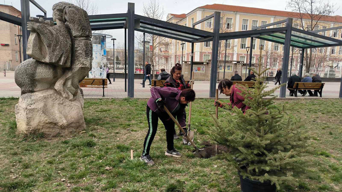 Tirgovişte’de iğne yapraklı ağaç dikimi başladı