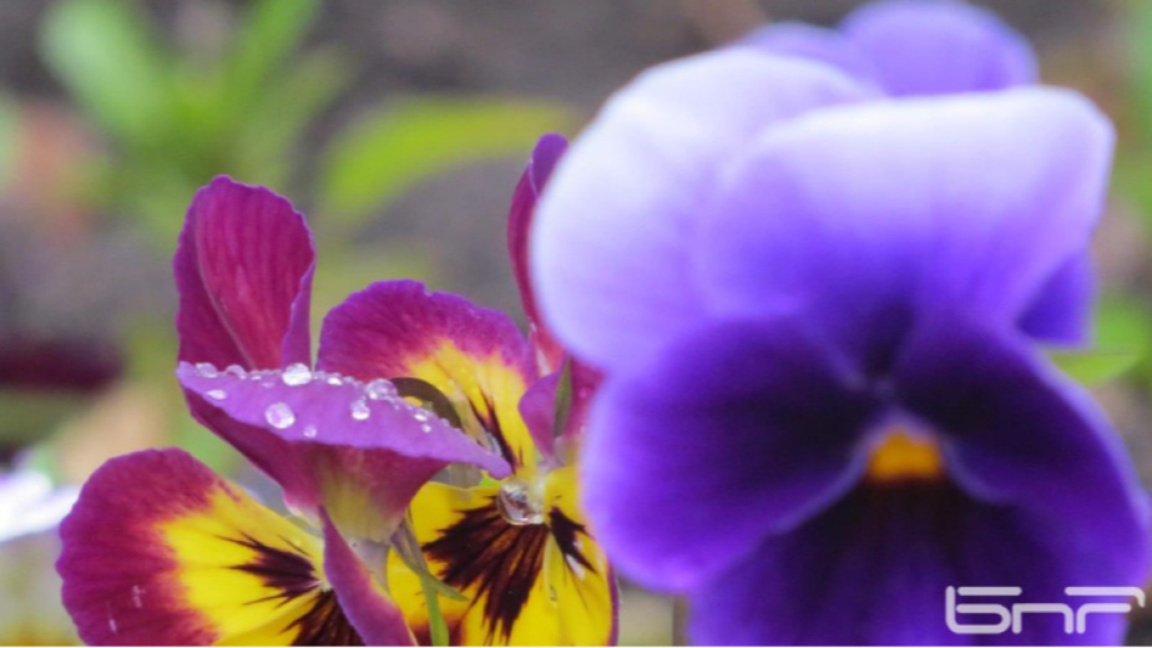 Великден носи слънце, повече облаци в планините