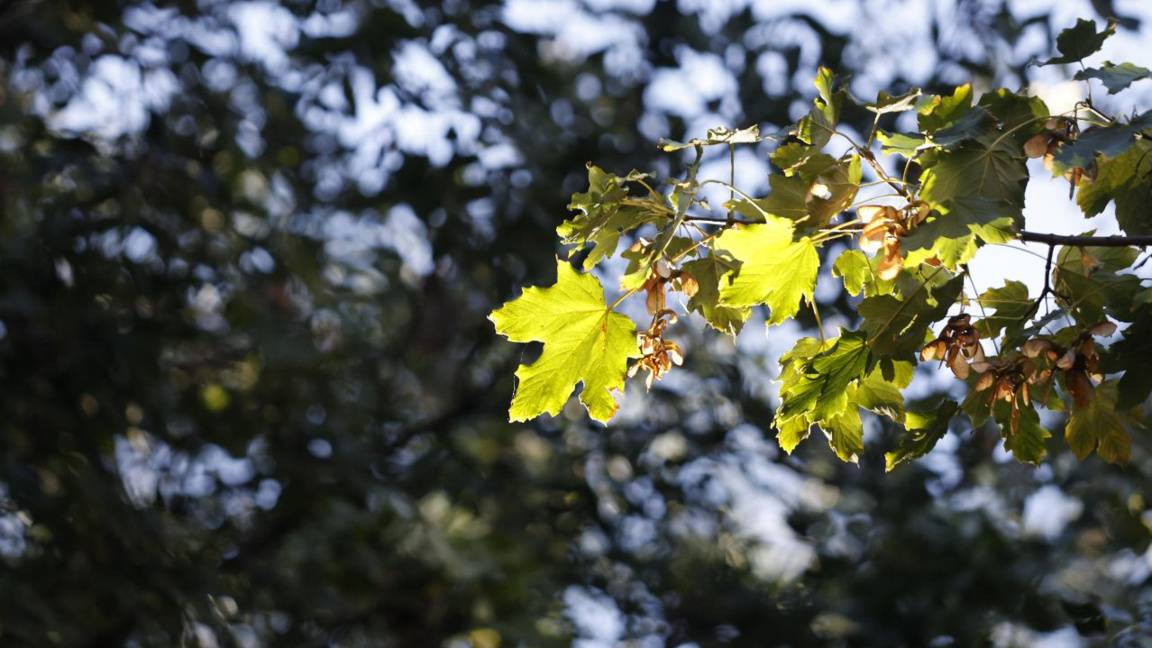 Wetteraussichten für Mittwoch, den 23. September