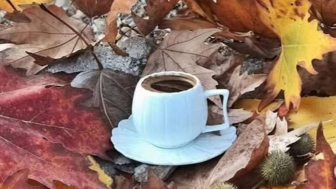 Очаквайте в „Акценти“ на 26 ноември!...