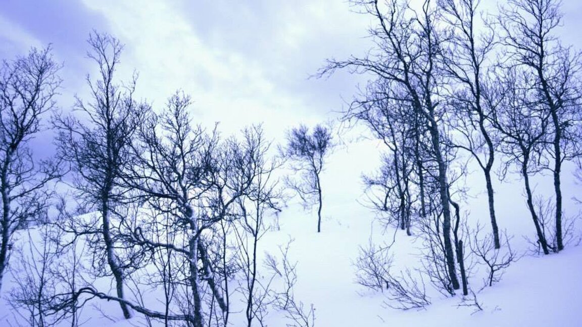 Météo: bourrasques de neige
