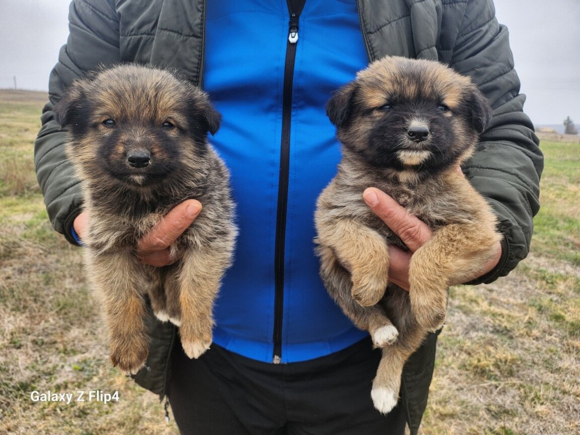 Календари с мисия
