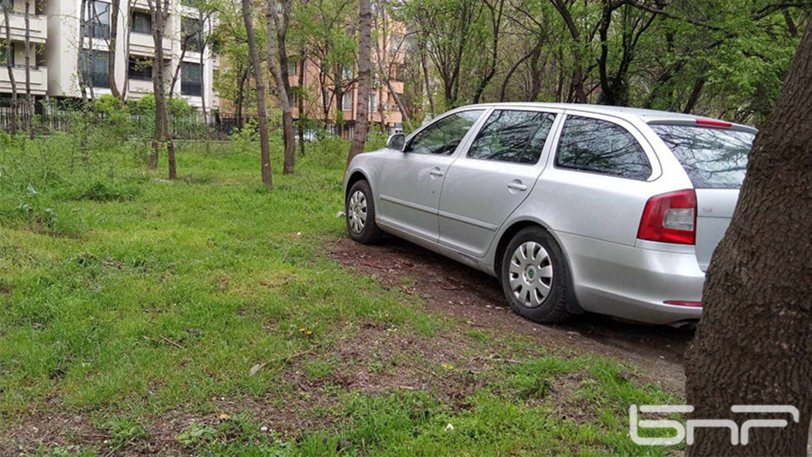 Работна група ще създаде нови правила за защита на зелените територии в София