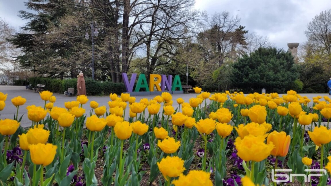 НА СВЕТЛО на 17 април с Валерия Василева