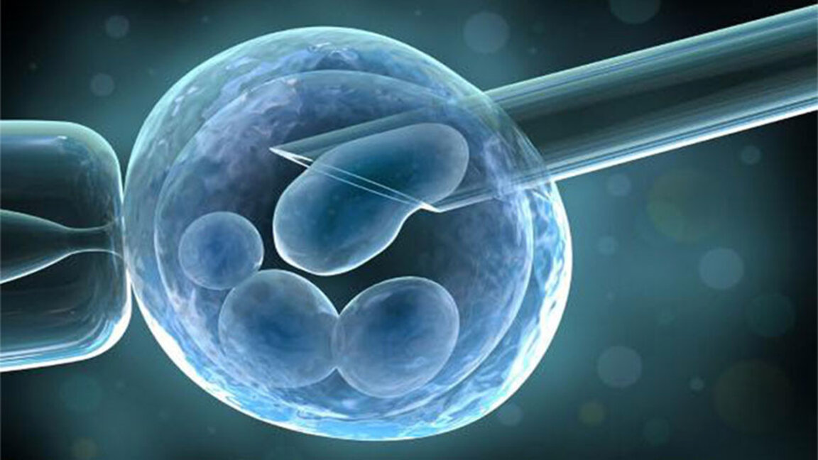 С промени в закона може да се стимулира донорството на репродуктивен материал