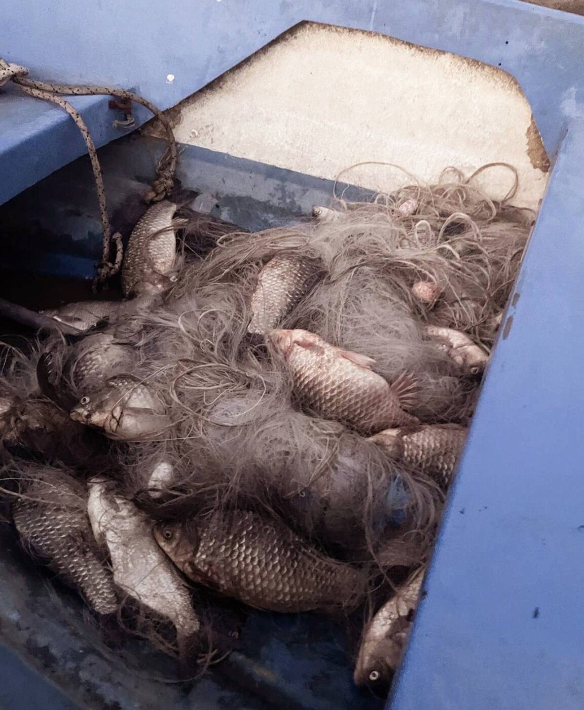 От ИАРА откриха бракониерски мрежи в Мандра