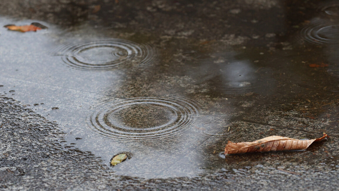 Wetteraussichten für Donnerstag, den 6. November