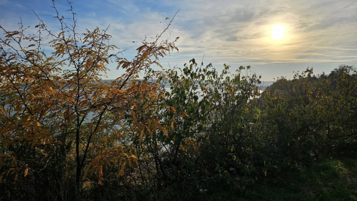 2025-а е била поредната топла година за България