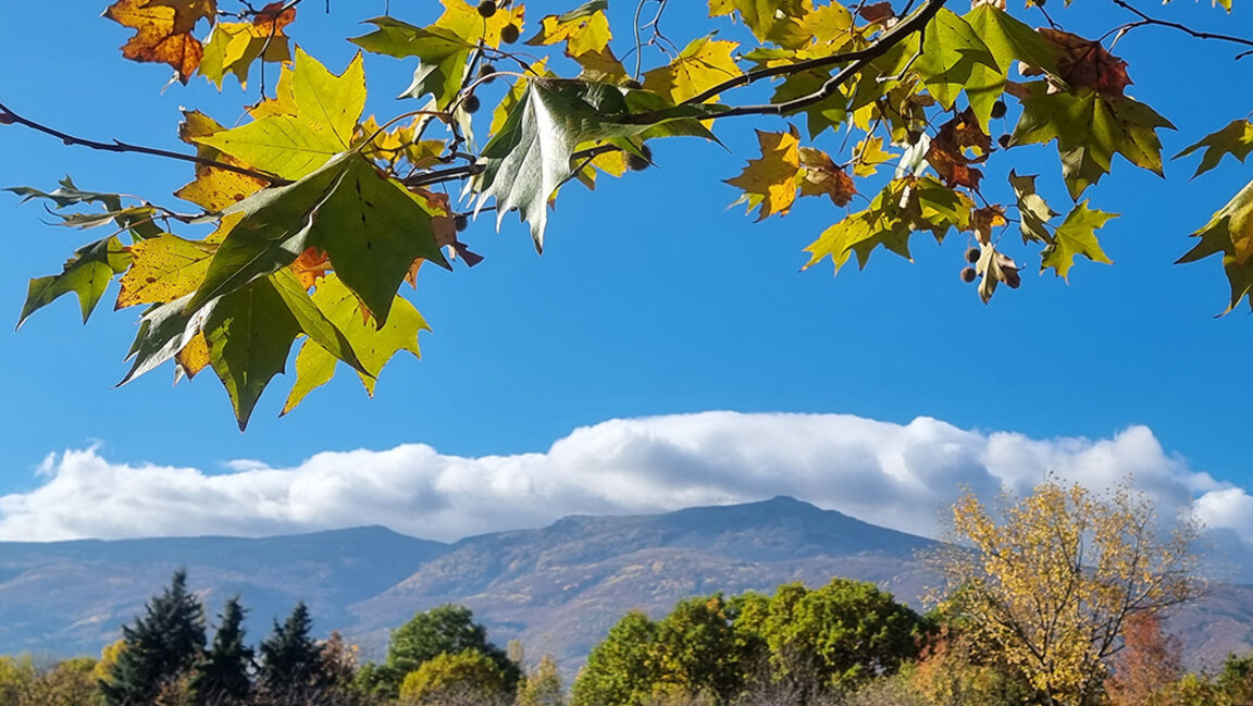 Die Wetteraussichten für Dienstag, den 17. Oktober