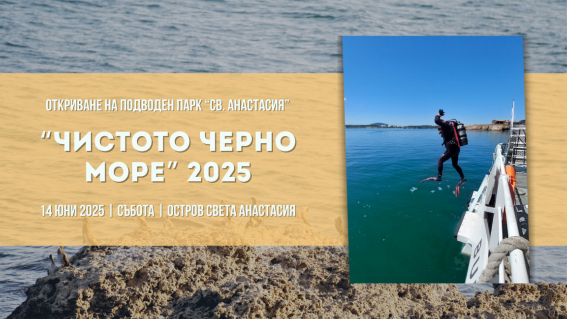 Водолази ще почистват акваторията на остров Света Анастасия