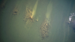 La baisse des eaux du Danube a dégagé les fondations du Pont de Constantin