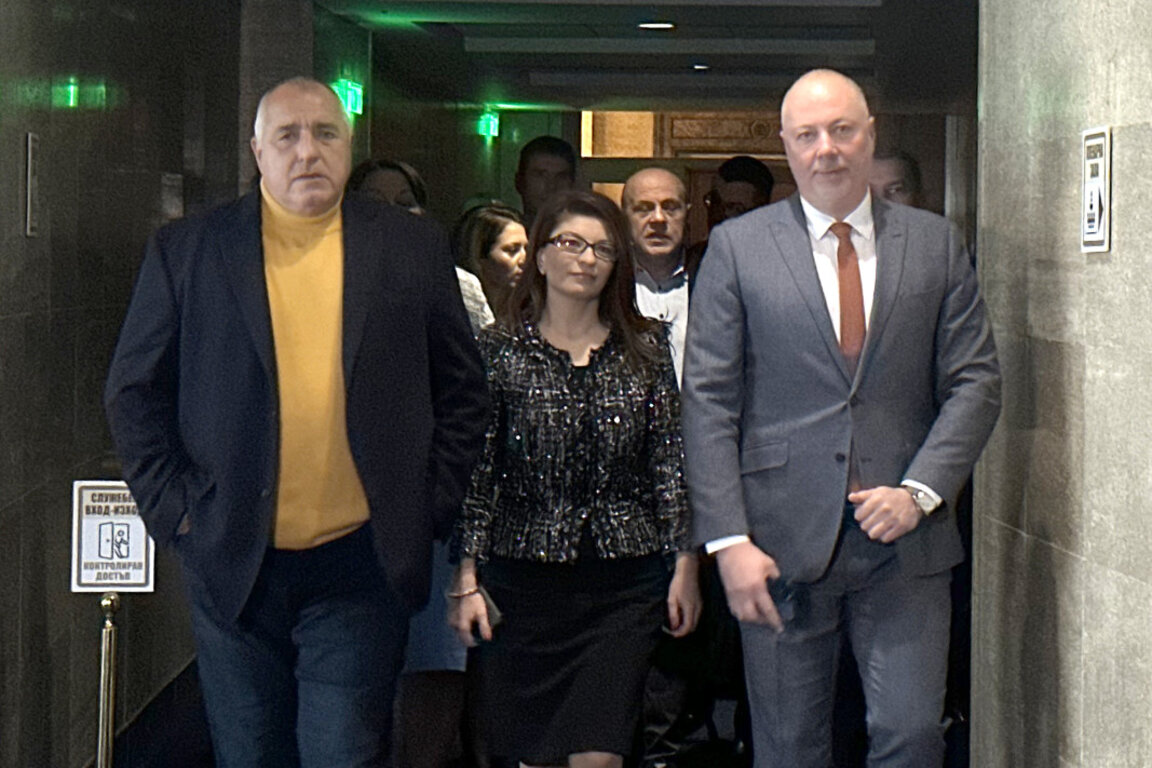 Десислава Атанасова е предложението на ГЕРБ-СДС за конституционен съдия