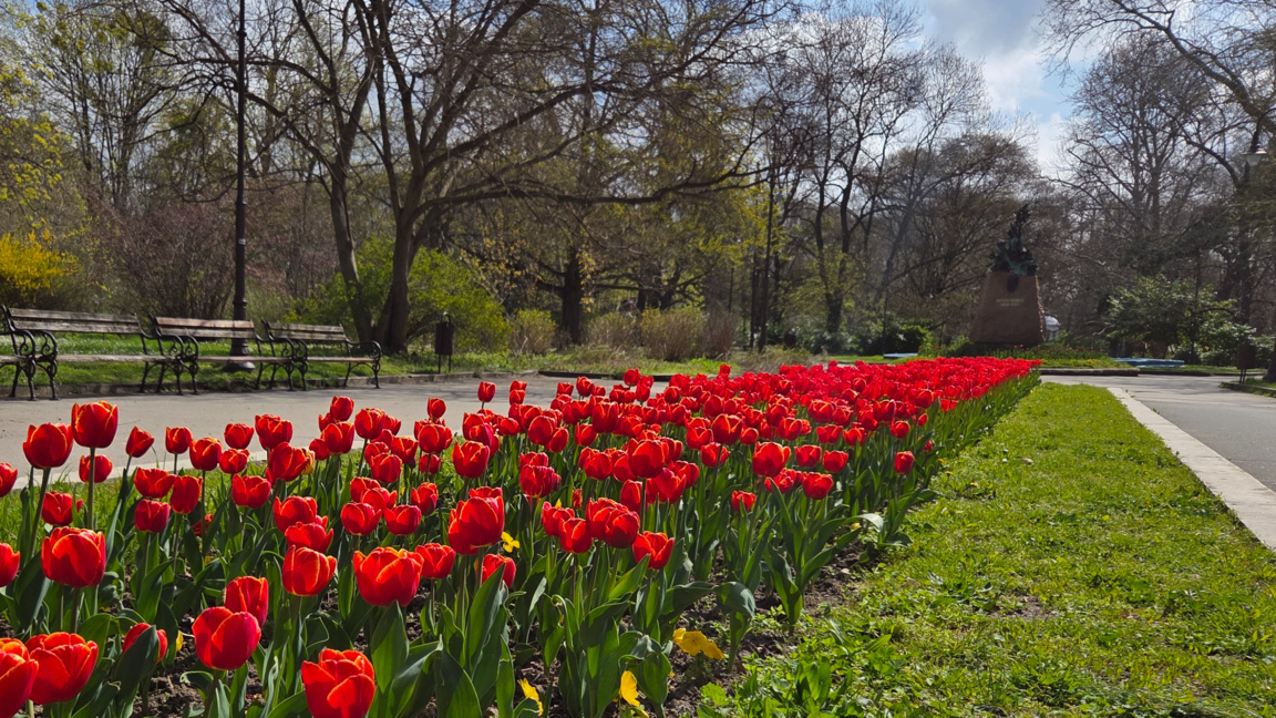Варна, Морска градина