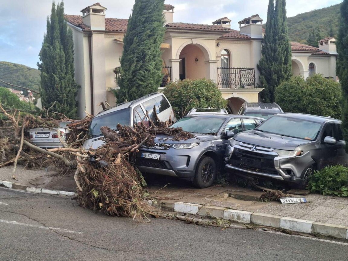 В "Елените" -  4 октомври 2025 г.