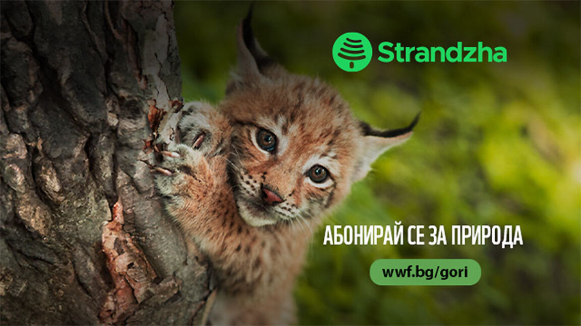 Калина Бояджиева, WWF: Заплахите за околната среда не са кино, а реалност