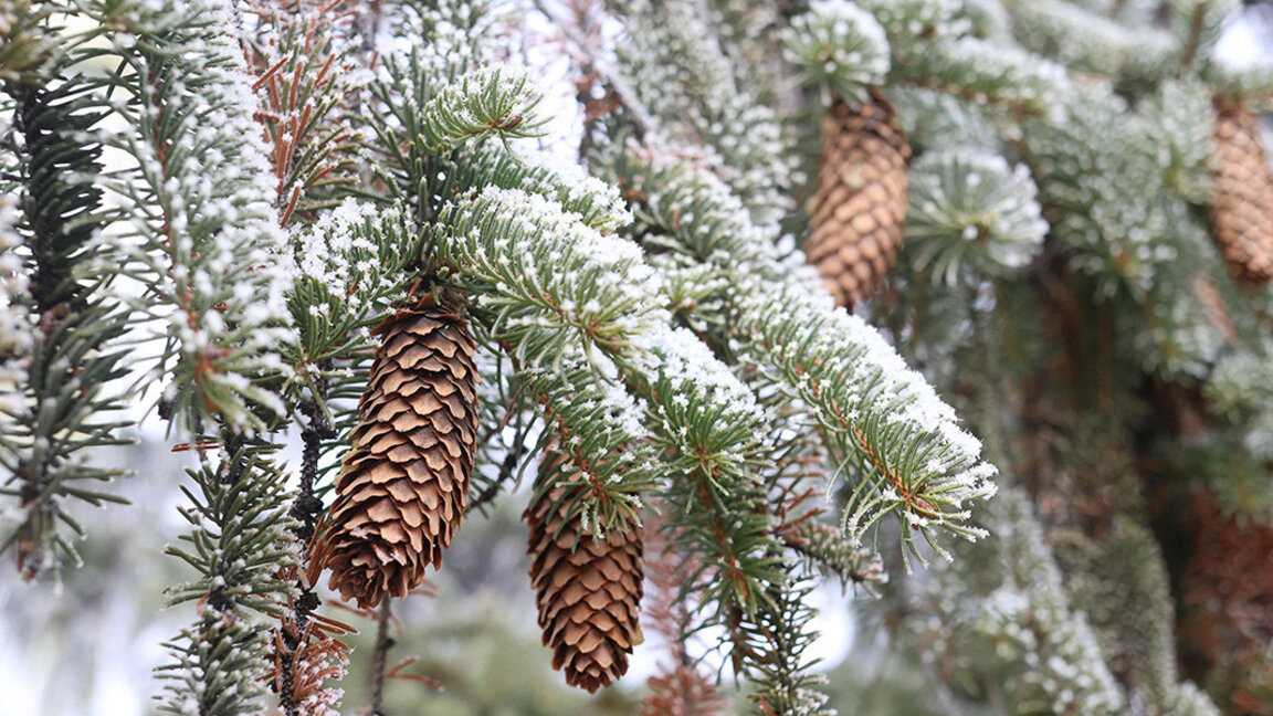 Météo : le week-end apporte pluie et neige
