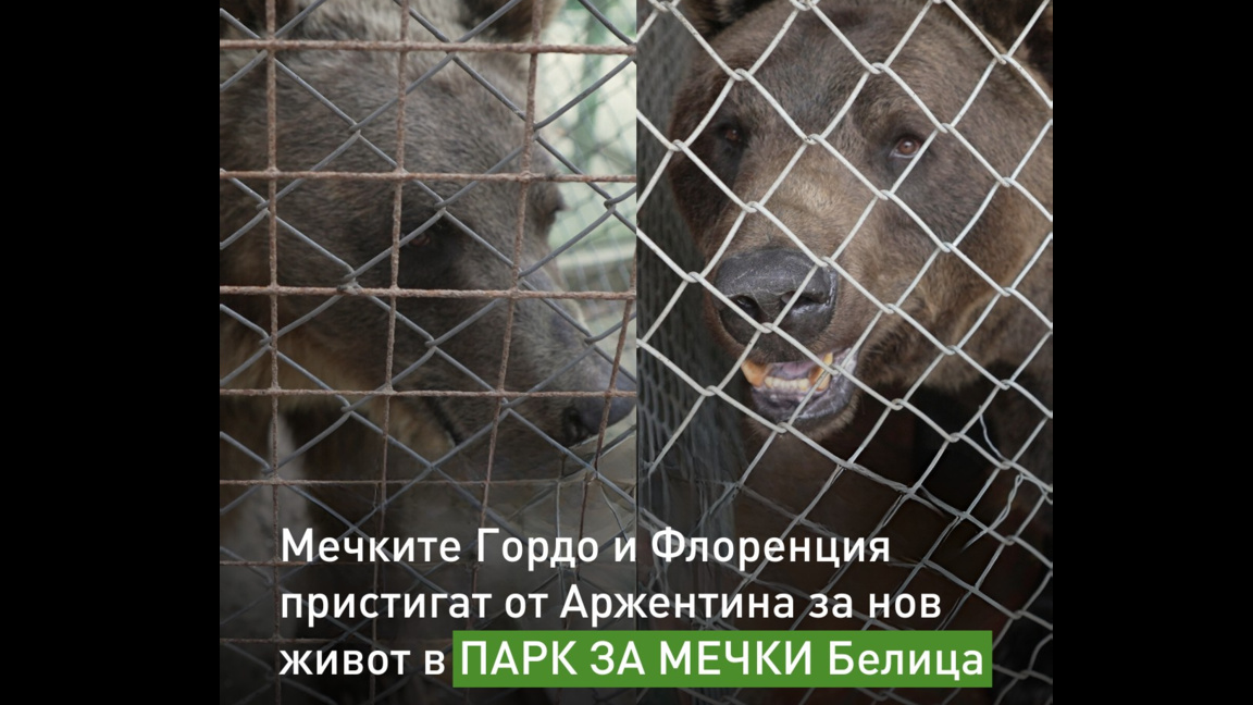 „Сюжети от деня“ с Биляна Славчева