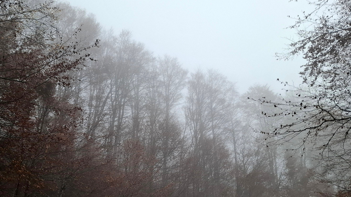 Météo : Brouillards givrants et températures hivernales…