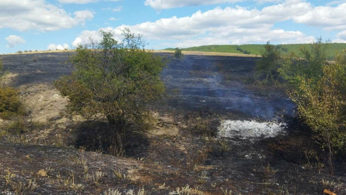 Бърза реакция при пожар в района на Радомир