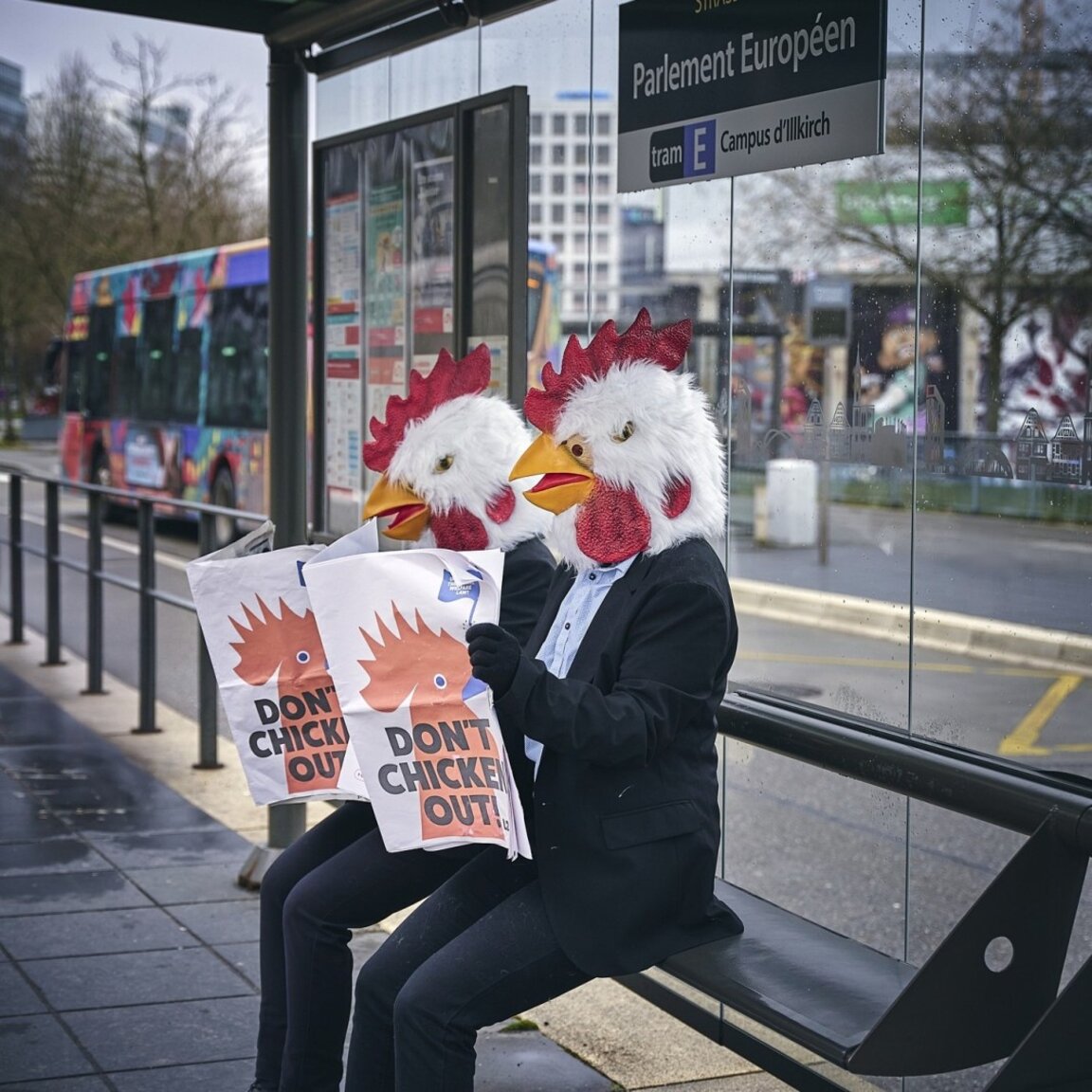 Българският бизнес прави крачка към по-етичното потребление на яйца