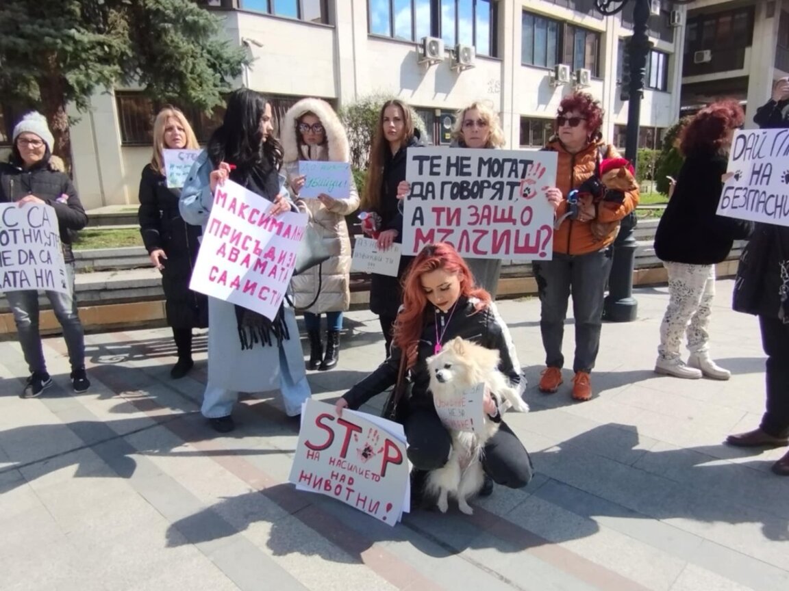 Втори протест срещу насилието над животни във Видин