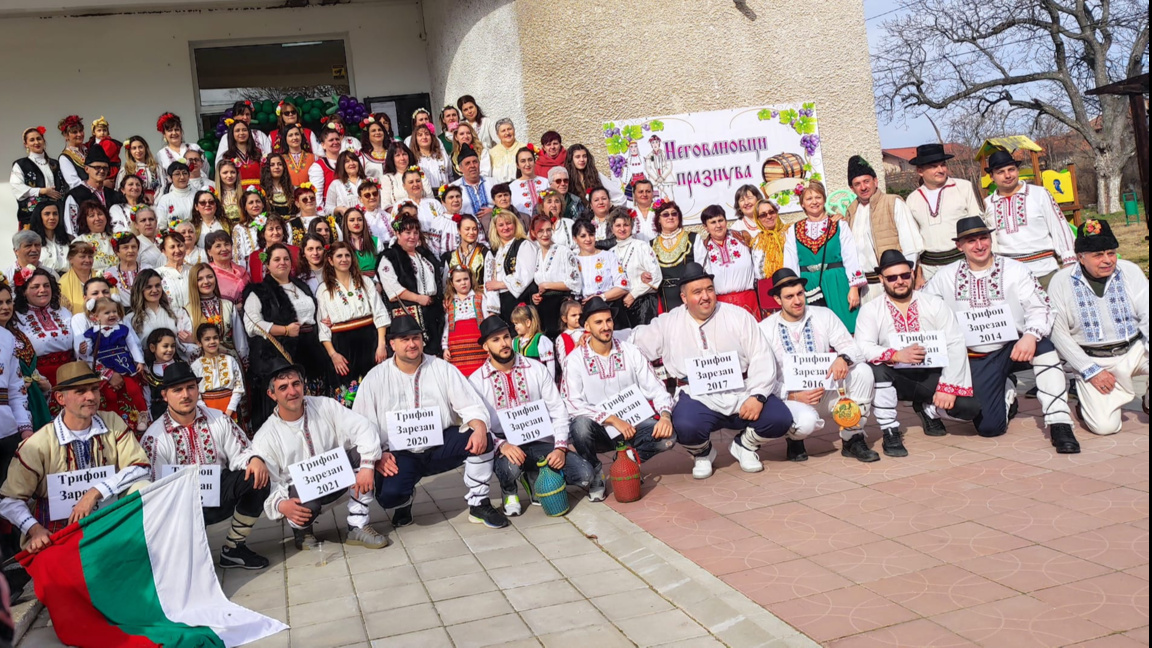 Зарязват лозята в Неговановци, Видинско