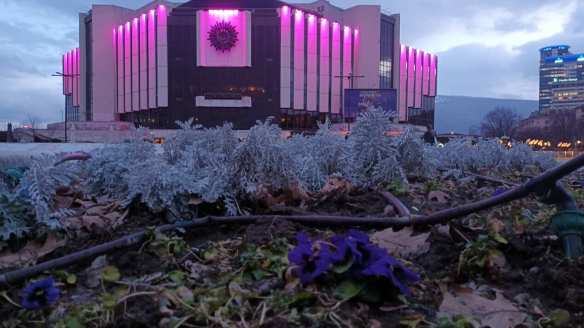 55 хиляди българи живеят с епилепсия и се борят срещу стигмата