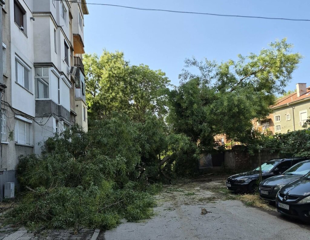 Бурята нанесе щети в Пловдив