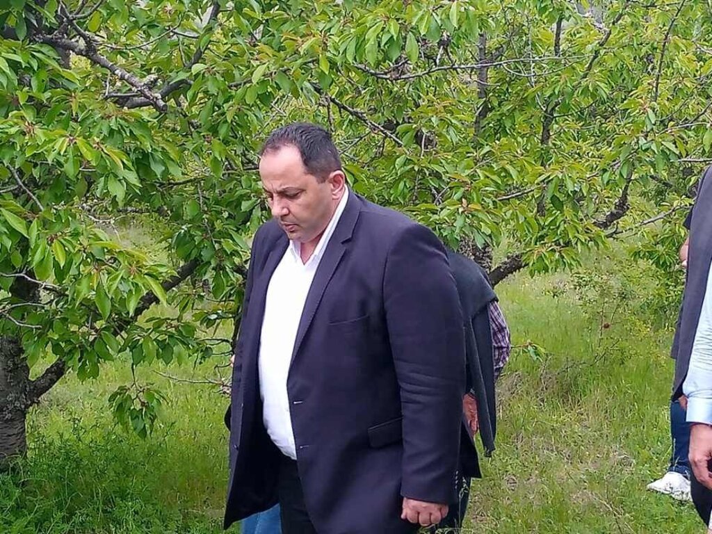 Зам.-министърът на земеделието ще се срещне с черешопроизводители от Кюстендилско