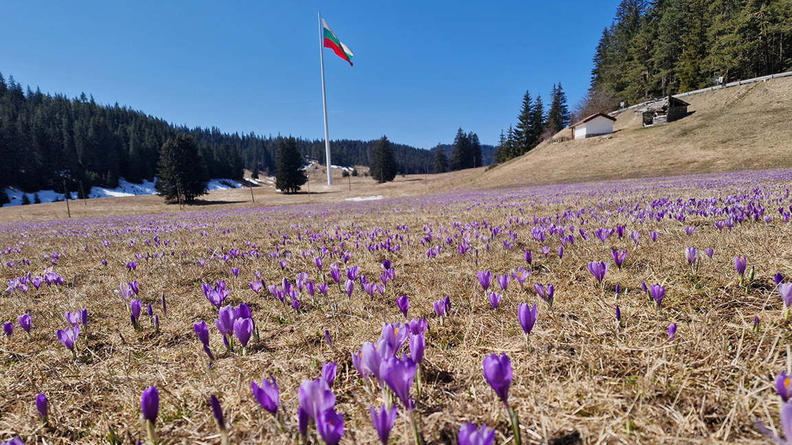 Parashikimi i motit për 10 marsin 2026