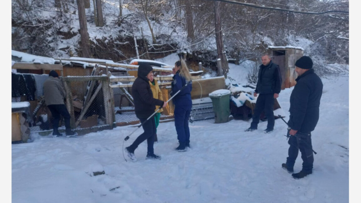 Спасиха кучета използвани за боеве в Перник
