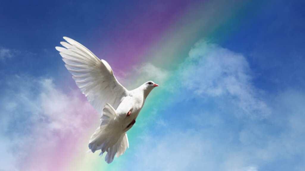 Отмечаем День спасения в память о погибших при спасении людей