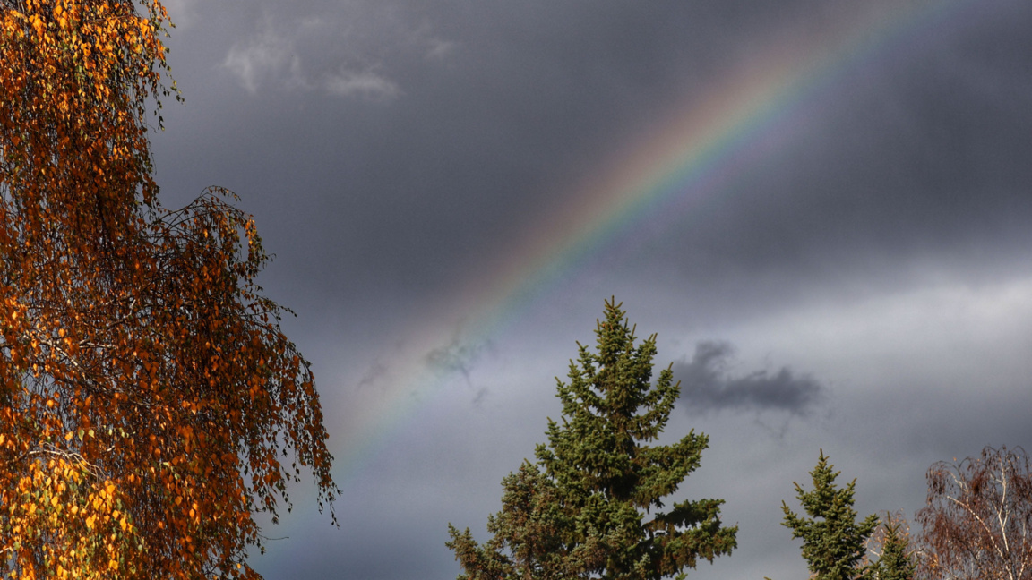 Жълт код за опасни валежи има за 16 области в Северна и Южна България