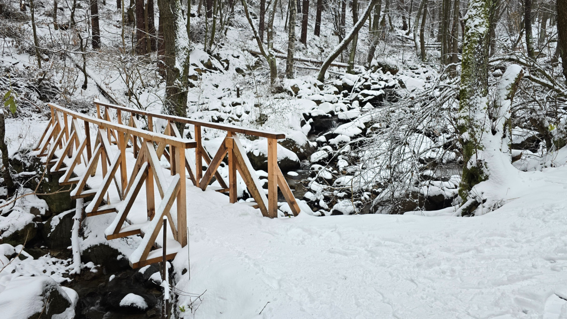 „Ефир за приятели“ с Лалка Радкова