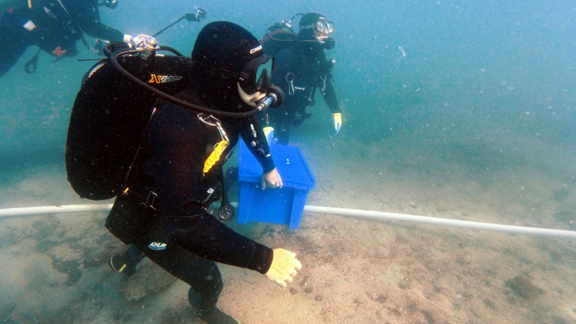 Des chercheurs révèlent les secrets d’une épave engloutie dans la baie de Kiten