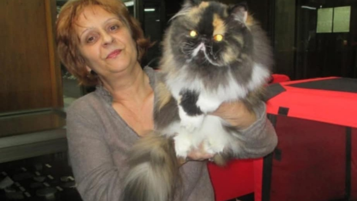 Ангелина Стамова: Котките са аристократи, знаят си цената 